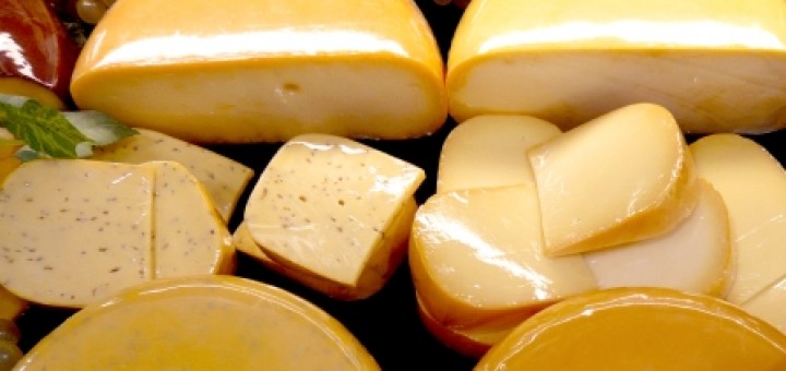 fromage aux probiotiques immunite